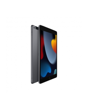 Apple iPad 10.2'' 9th Gen Space Grey, Retina Wyświetlacz IPS LCD, A13 Bionic, 3 GB, 256 GB, 4G, Wi-Fi, 12 MP, 8 MP, Bluetooth, 4.2, iPadOS, 15, 1620 x 2160 pixels