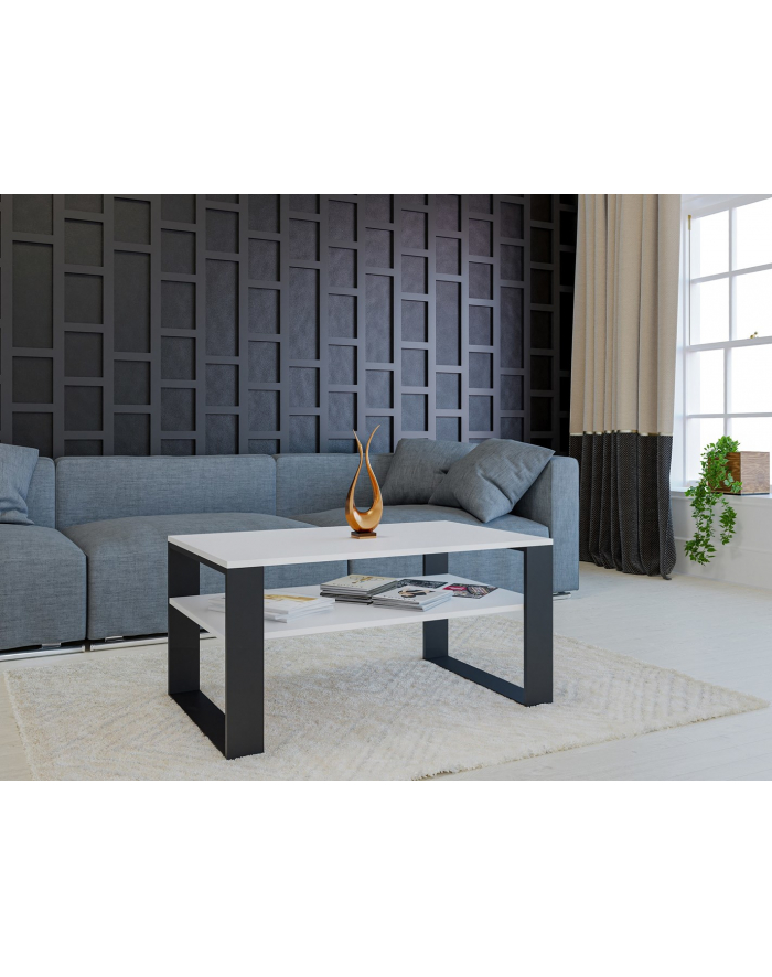 top e shop Stolik ława MOD-ERN 1P biały/czarny główny