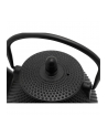 Bredemeijer Teapot Wuhan 1,0L Gusseisen Black +Filter (153005) - nr 2