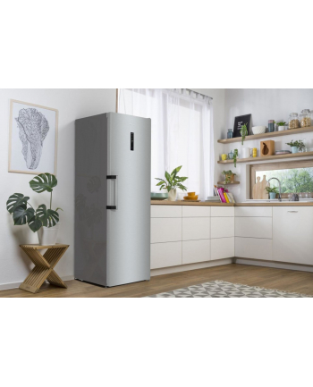 gorenje Chłodziarka R619EAXL6