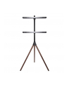 TECHLY Stojak Podłogowy Tripod TV LCD/LED 32-65inch 35kg Drewno - nr 11