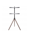 TECHLY Stojak Podłogowy Tripod TV LCD/LED 32-65inch 35kg Drewno - nr 26