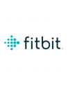 Fitbit Charge 5 OLED Wristband Activity Tracker moon Kolor: BIAŁY/soft gold - nr 4