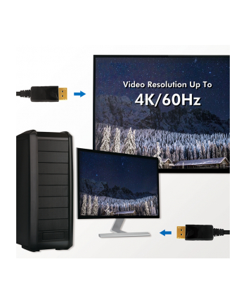  Kabel DisplayPort 1.2 LogiLink CD0103 M/M 5m