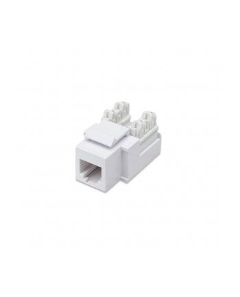 Moduł Keystone Intellinet RJ11/12 biały