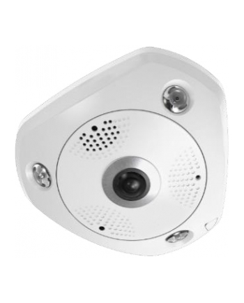 Levelone Fcs-3095 - Panoramic Camera Dome (FCS3095)