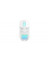 Xtrfy M42 Wireless RGB White (M42WRGBWHITE) - nr 1