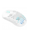 Xtrfy M42 Wireless RGB White (M42WRGBWHITE) - nr 32