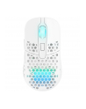 Xtrfy M42 Wireless RGB White (M42WRGBWHITE) - nr 44