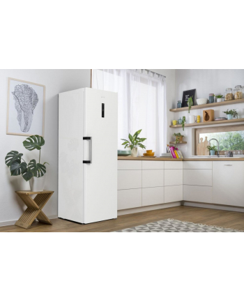 gorenje Chłodziarka R619EAW6