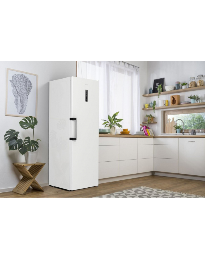 gorenje Chłodziarka R619EAW6 główny