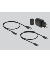 DeLOCK USB 3.0 docking and cloning station 2 x M.2 NVMe, docking station (Kolor: CZARNY, M.2 SSD) - nr 12