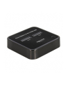 DeLOCK USB 3.0 docking and cloning station 2 x M.2 NVMe, docking station (Kolor: CZARNY, M.2 SSD) - nr 22