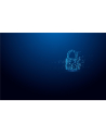 kingston Pendrive 32GB IronKey Vault Privacy 50C AES-256 FIPS-197 - nr 12
