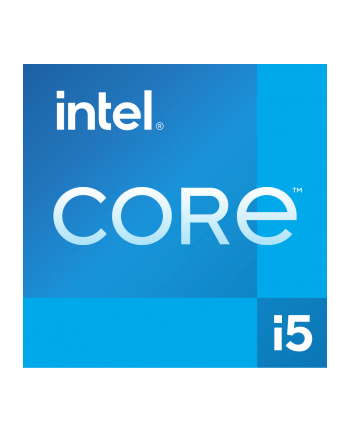 Intel S1700 CORE i5 13400F TRAY GEN13