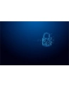 kingston Pendrive 64GB IronKey Vault Privacy 50C AES-256 FIPS-197 - nr 9