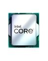 Intel S1700 CORE i5 13400 TRAY GEN13 - nr 15