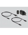 DeLOCK USB 3.0 docking and cloning station 2 x M.2 NVMe, docking station (Kolor: CZARNY, M.2 SSD) - nr 24