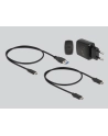 DeLOCK USB 3.0 docking and cloning station 2 x M.2 NVMe, docking station (Kolor: CZARNY, M.2 SSD) - nr 5
