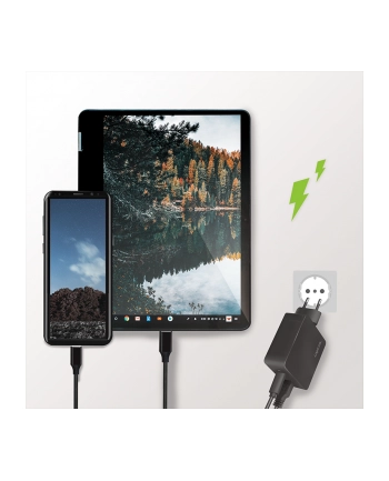 Ładowarka Logilink 1X Usb-A Usb-C (Pa0220) (11537443) nr 2