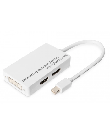 Digitus VIDEO / AUDIO ADAPTOR - 20 CM (DB340509002W)