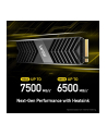 lexar Dysk SSD NM800 Pro Radiator 1TB NVMe 7500/6300MB/s - nr 21