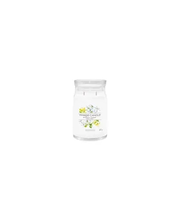 Yankee Candle Signature Midnight Jasmine Świeca Duża 567g
