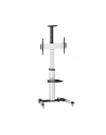 logilink Wózek na TV Vesa, max 50kg, 37-70cali - nr 1