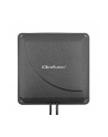 qoltec Antena 4G LTE DUAL MIMO booster | 35dBi | 50W | 2xSMA męski - nr 1