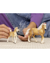 Schleich 13950 Klacz rasy Haflinger Horse Club - nr 9
