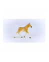 Schleich 13951 Źrebak rasy Haflinger Horse Club - nr 14