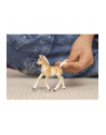 Schleich 13951 Źrebak rasy Haflinger Horse Club - nr 16