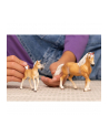 Schleich 13951 Źrebak rasy Haflinger Horse Club - nr 3