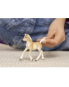 Schleich 13951 Źrebak rasy Haflinger Horse Club - nr 5
