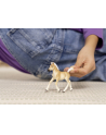 Schleich 13951 Źrebak rasy Haflinger Horse Club - nr 6
