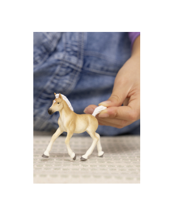 Schleich 13951 Źrebak rasy Haflinger Horse Club