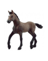 Schleich 13954 Źrebak rasy Paso Peruano Horse Club - nr 4