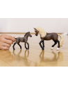 Schleich 13954 Źrebak rasy Paso Peruano Horse Club - nr 6