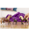Schleich 13954 Źrebak rasy Paso Peruano Horse Club - nr 7