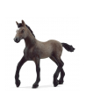 Schleich 13954 Źrebak rasy Paso Peruano Horse Club - nr 9