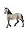 Schleich 13955 Klacz rasy Cheval de Selle Francais Horse Club - nr 14