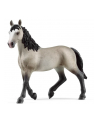 Schleich 13955 Klacz rasy Cheval de Selle Francais Horse Club - nr 2