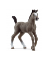 Schleich 13957 Źrebak rasy Cheval de Selle Francais Horse Club - nr 3
