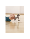 Schleich 13957 Źrebak rasy Cheval de Selle Francais Horse Club - nr 4