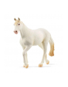 Schleich 13959 Klacz rasy Camarillo Farm World - nr 1