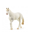 Schleich 13959 Klacz rasy Camarillo Farm World - nr 5
