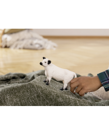 Schleich 13960 Krowa rasy Galloway Farm World