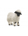 Schleich 13965 Owca Walliserska Czarnonosa Farm World - nr 15