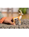 Schleich 14861 Gazela Thomsona. Wild Life - nr 2