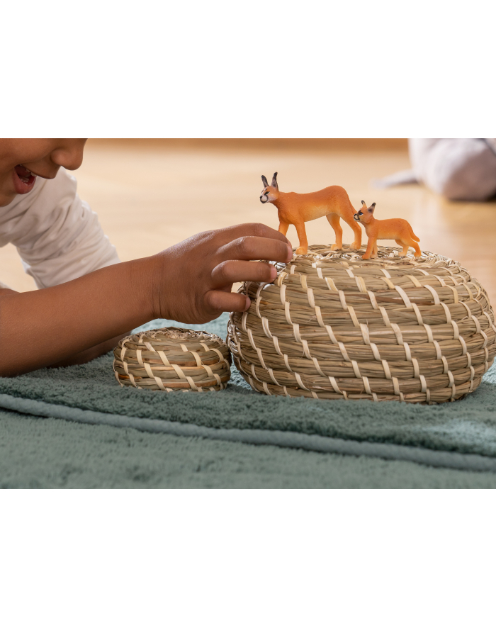 Schleich 14867 Samica Karakala. Wild Life główny